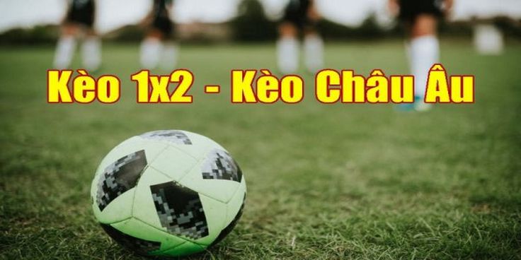 Từng Bước Đặt Cược 1x2 Cho Tân Thủ Cá Độ