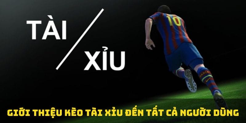 Kèo Tài Xỉu là gì? Những điều cơ bản cần biết