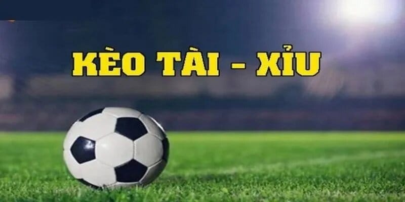 Bí mật thành công khi chơi kèo Tài Xỉu bạn cần biết