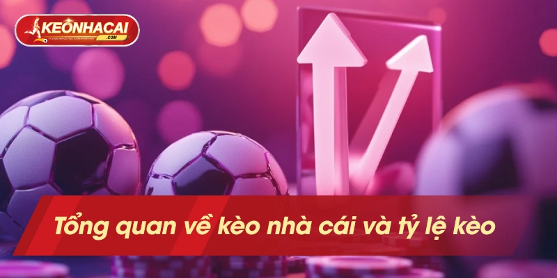 Tổng Quan Về Kèo Nhà Cái Và Tỷ lệ Kèo