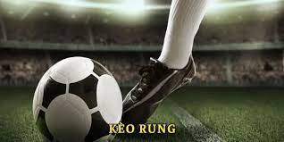 Phân tích ưu và nhược điểm của kèo rung trong cá cược bóng đá