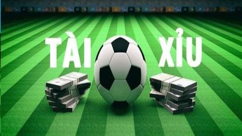 Cược Tài Xỉu Là Gì? Tìm Hiểu Nguồn Gốc Và Ý Nghĩa
